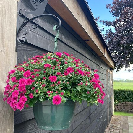 De Barg Villa Vinkenbuurt Bagian luar foto